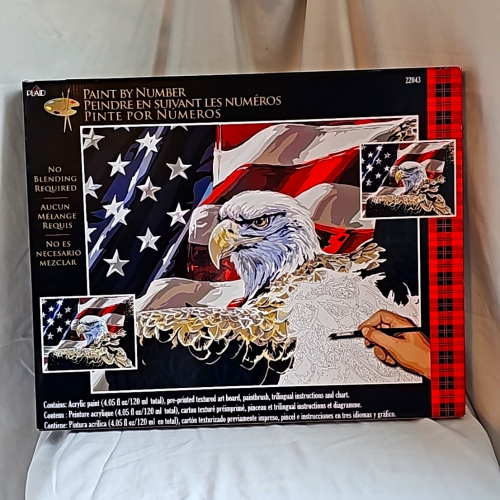 Paint by Number Kit - Patriotic Eagle Design